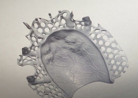 ออกแบบ CAD กรอบโลหะฟันปลอมไทเทเนียมอัลลอยด์บางส่วน